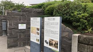 綺麗な公園