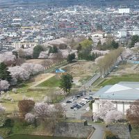 受付階の展望台から霧城公園