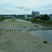 新興住宅地とのんびりとした感じの風景が交わっている感じの川でした。