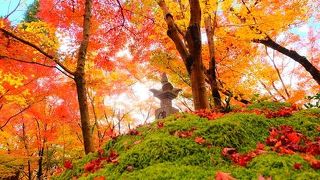 紅葉が素晴らしい。
