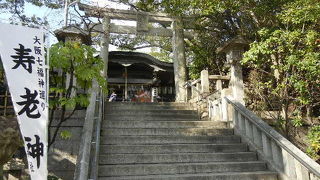 ウォーキングに最適です。