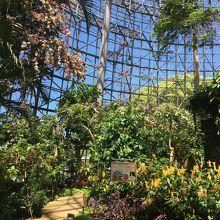 フラワードーム内