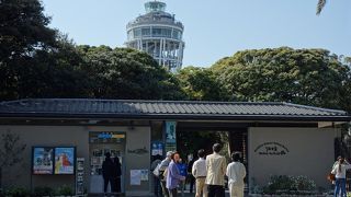 江の島の遊び場