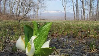 大沼公園駅前が拠点