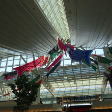 天井には鯉のぼりが