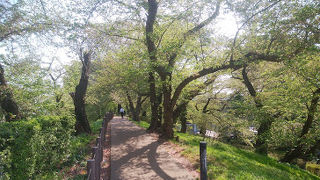 駅から徒歩で行ける史跡であり運動公園