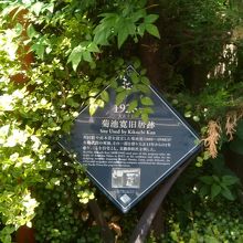 木の下の表示看板