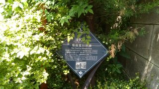 番町文人通りの途中