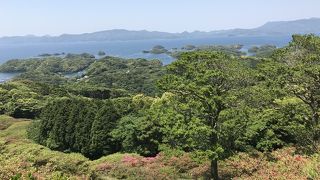 花が散ってるのにテレビコマーシャルはちょっと…