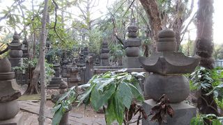 おびただしい数の墓石が林立