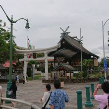 バス停から・・・