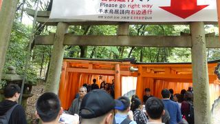 伏見稲荷といえば千本鳥居