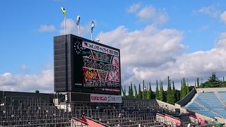 ラグビーを観戦するならここ