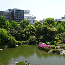 隣接する刀剣博物館から見た旧安田庭園