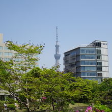 北東の方角にスカイツリーが見えます