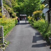 花がたくさん