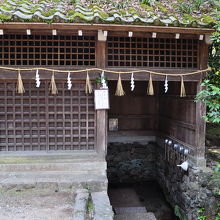 宇治上神社湧き水