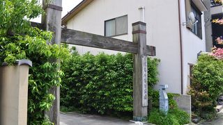 奇麗な公園でした