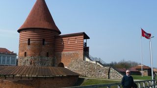 平地にポツンと塔がたたずむ