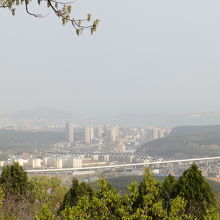 203高地からの旅順港