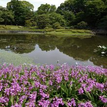 二の丸池の側の花