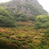 このホテルの立地する御船山楽園です。