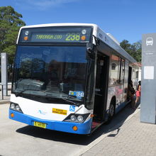 タロンガ動物園のバス停で