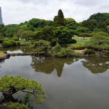 池や庭を眺める