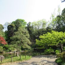 園内の新緑など