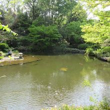 園内の池など