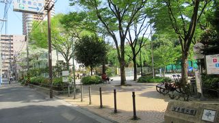 公園といってもよく手入れされた気持ち良い林泉回遊式の日本庭園です