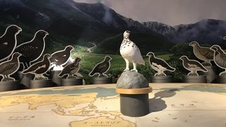 立山のことがよくわかります。