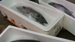 松原商店街の名店