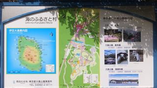 キャンプ場のあるあたりと椿園や動物園のあるあたりの総称