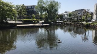 綺麗な池の公園