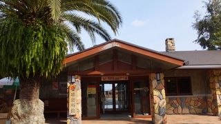 椿の品種の多さときれいさに感動