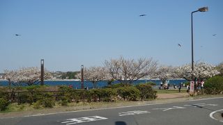 海沿いの気持ち良い公園