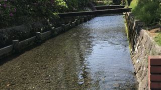 菰池から流れる綺麗な川