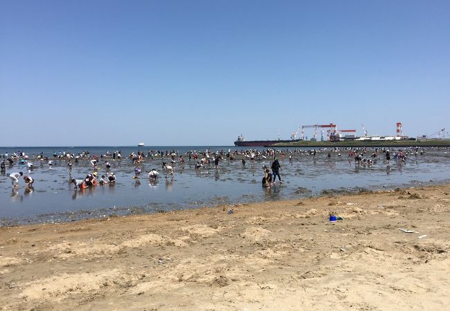 御殿場海岸 クチコミ アクセス 営業時間 津 フォートラベル 御殿場海岸 クチコミ アクセス 営業時間 津 フォートラベル