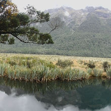 右方向のパノラマ
