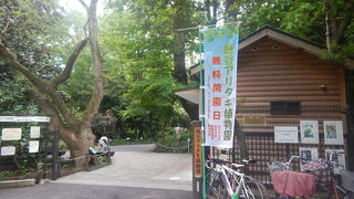 みどりの日も無料開園