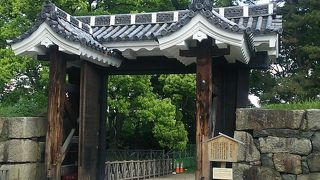 一見の価値あり