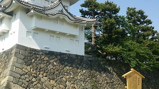 重要文化財の一つです