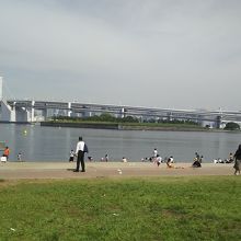 ビーチもある公園