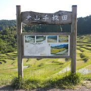 大山千枚田　2017/5/20（土）