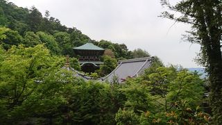 行ってビックリ❗