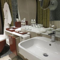 バスルーム側に窓があり、窓越しに滑走路が見えました