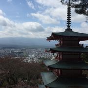 今年は桜が早咲き