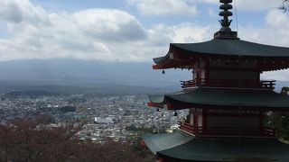 今年は桜が早咲き