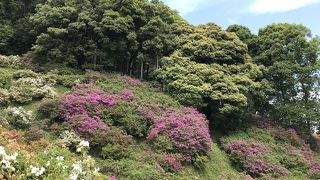 滑りにくい靴で行って下さい